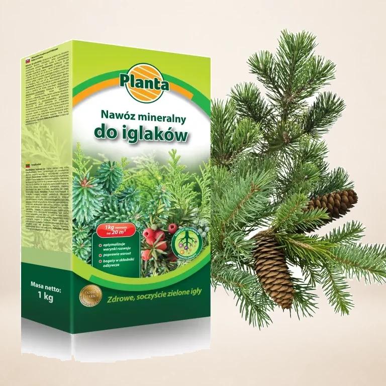 Nawóz Planta 1kg pod iglaki