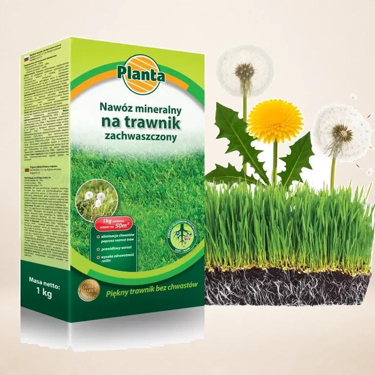 Nawóz Planta 1kg na trawnik zachwaszczony