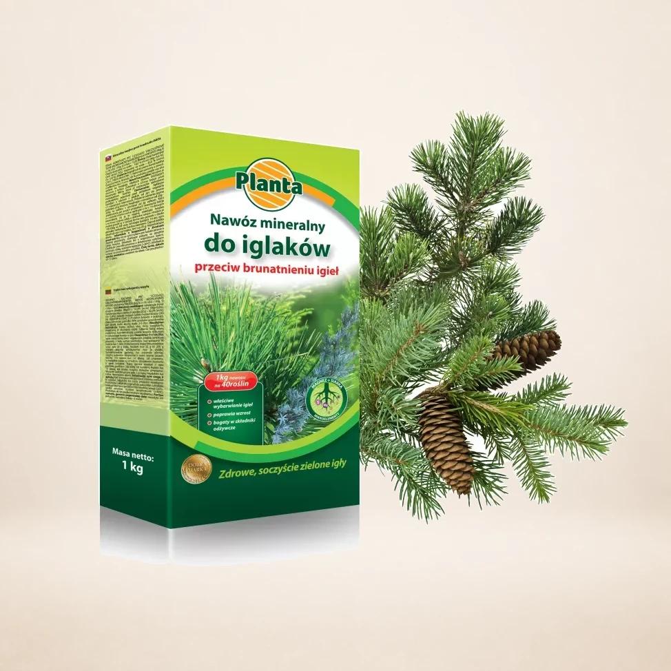 Nawóz Planta 1kg p/brunatnieniu igieł