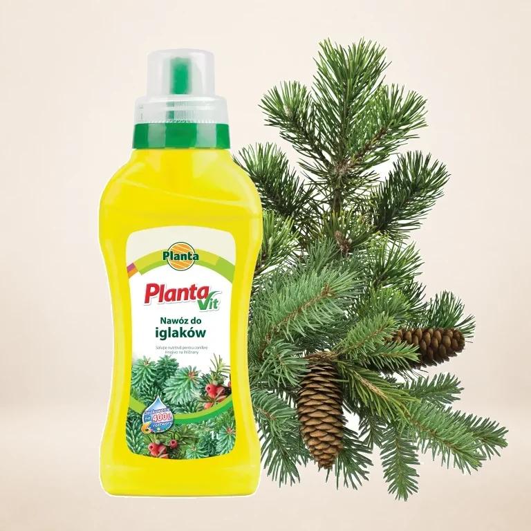 Nawóz Planta Vit-14 IGLAK 1L