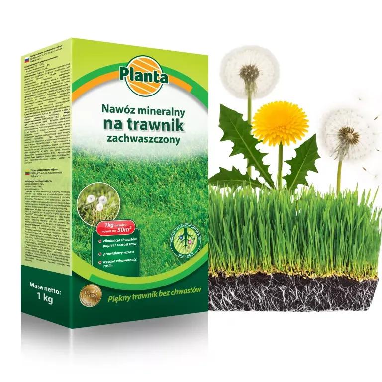 Nawóz Planta 1kg na trawnik zachwaszczony