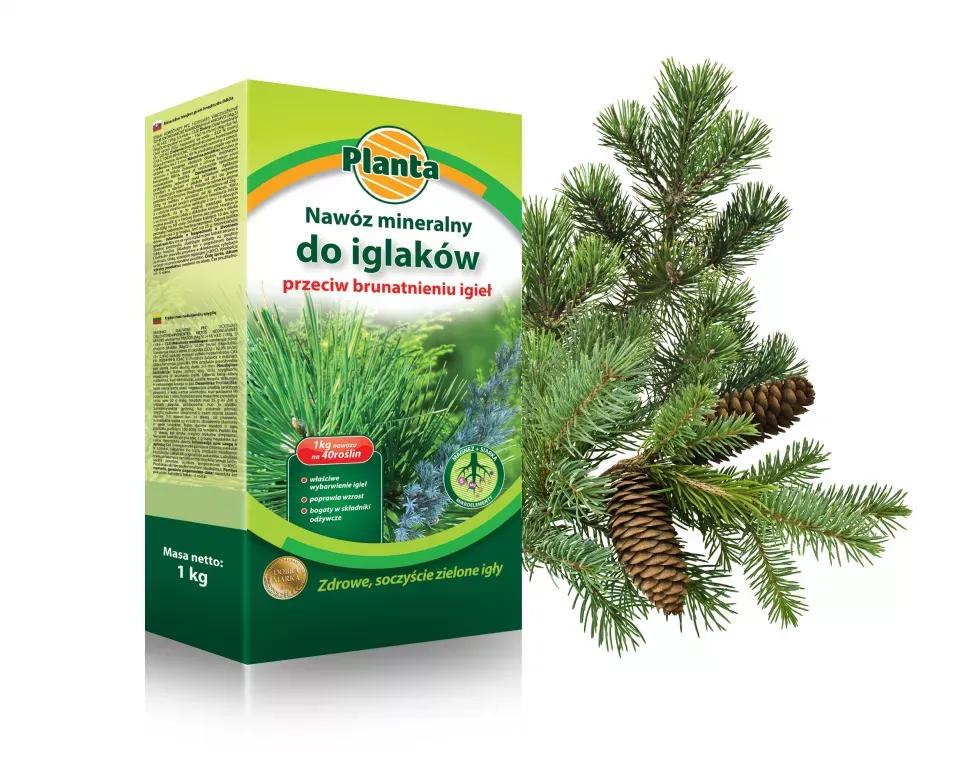 Nawóz Planta 1kg p/brunatnieniu igieł