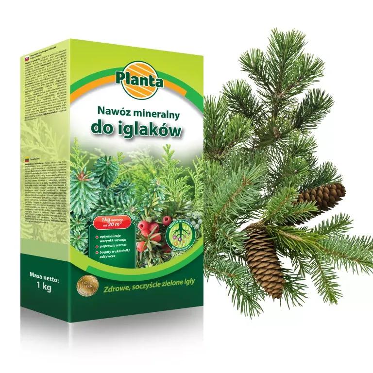 Nawóz Planta 1kg pod iglaki